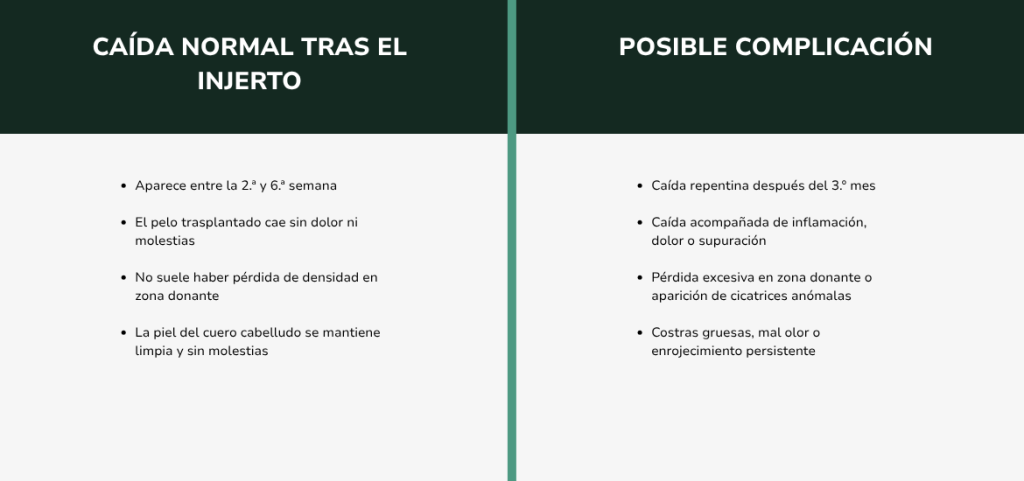 ¿Es normal que se caiga el pelo después de un injerto capilar (5)
